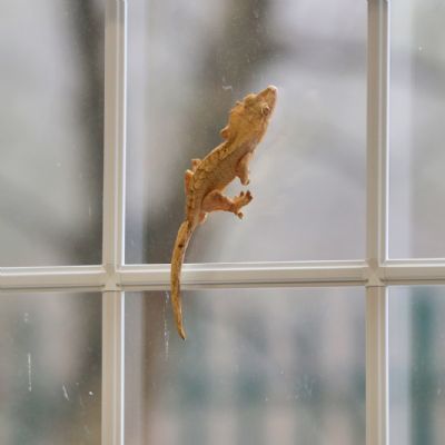 IMG2701