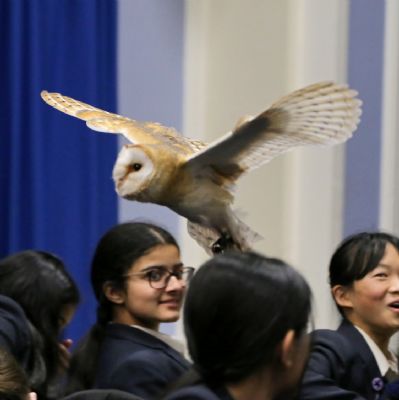 IMG2753