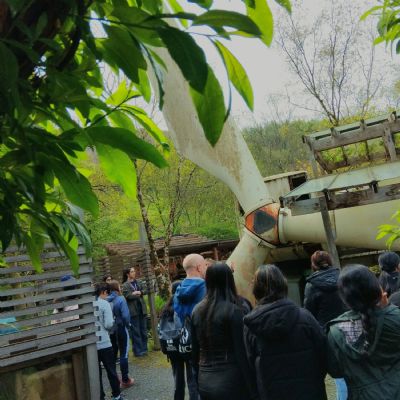 IMG20240502105438