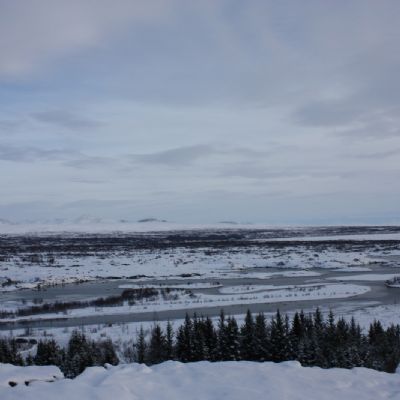 IMG_6750