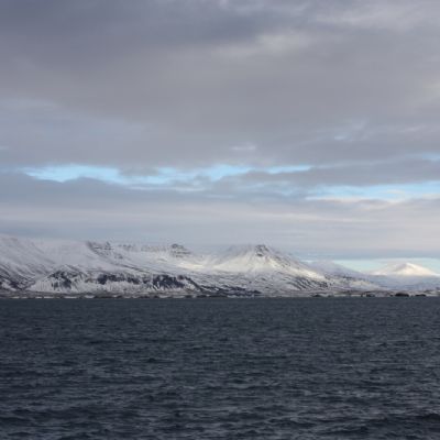 IMG_6846