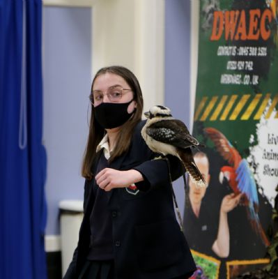 IMG4394